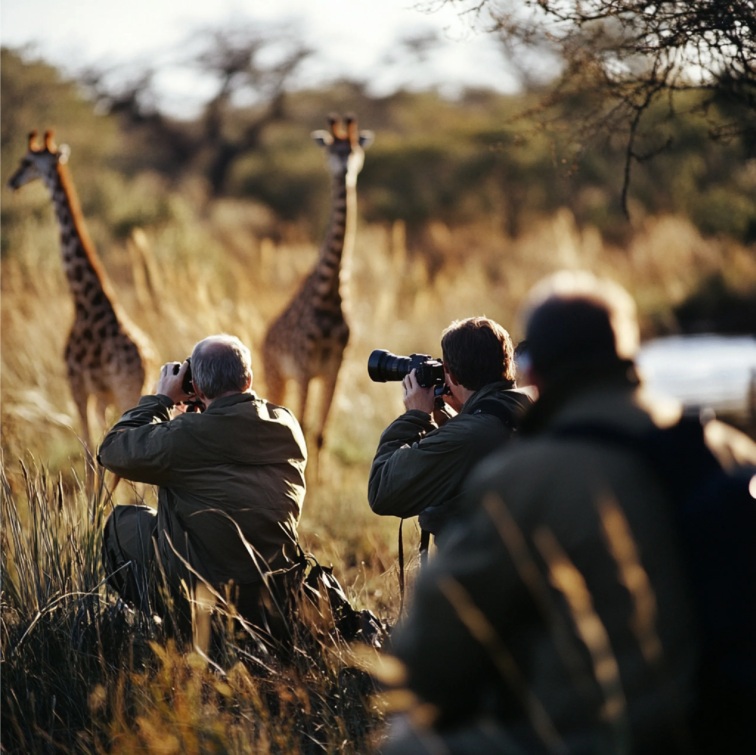 Kruger Safari Photo 5