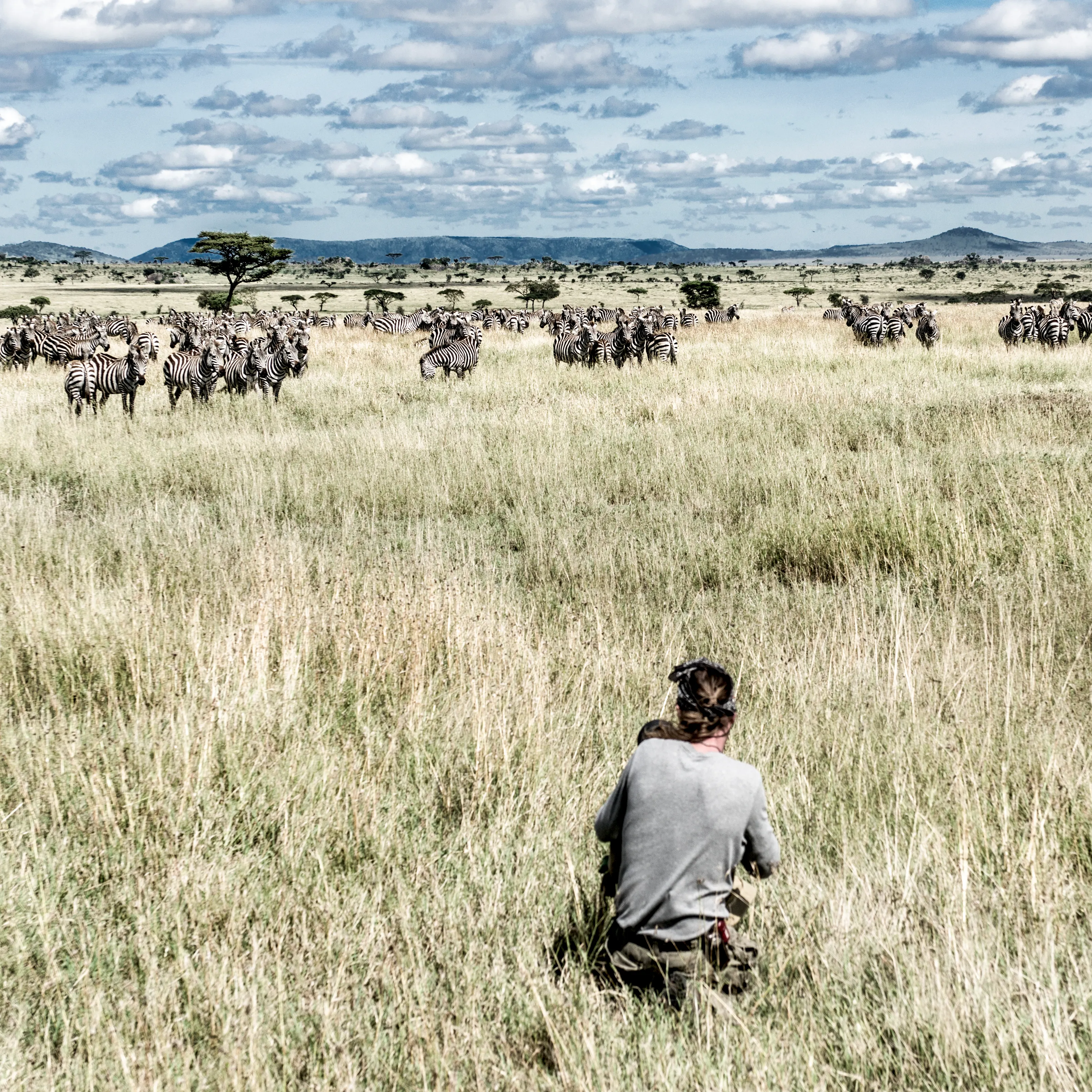Kruger Safari Photo 8