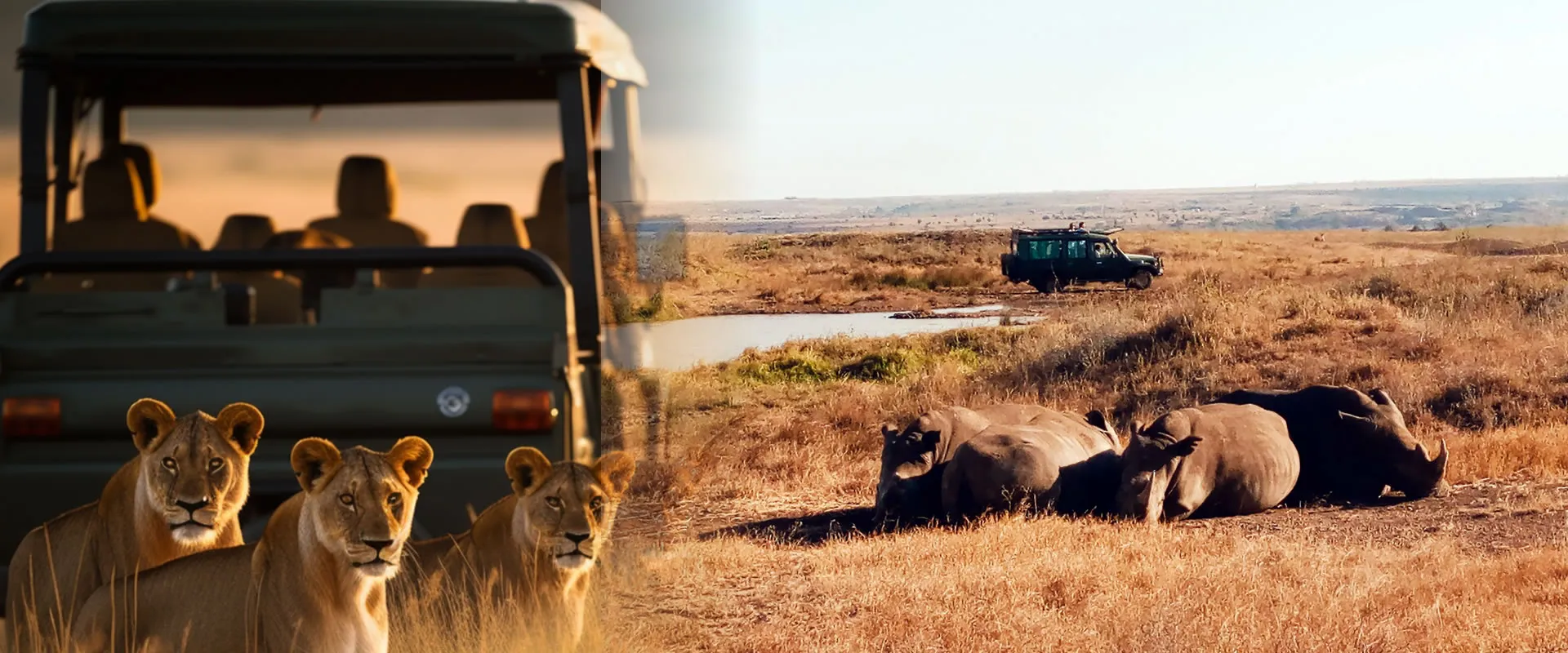 Betelgeuse Tours Slide 3